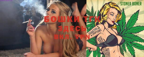 твердый Алзамай