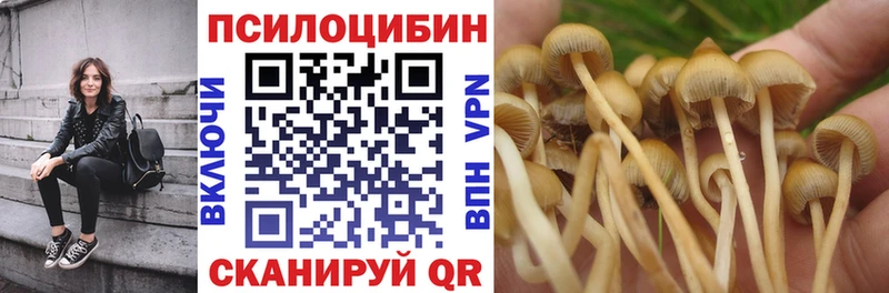 Галлюциногенные грибы Magic Shrooms  Томилино 