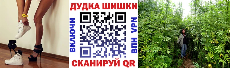 Конопля MAZAR Томилино